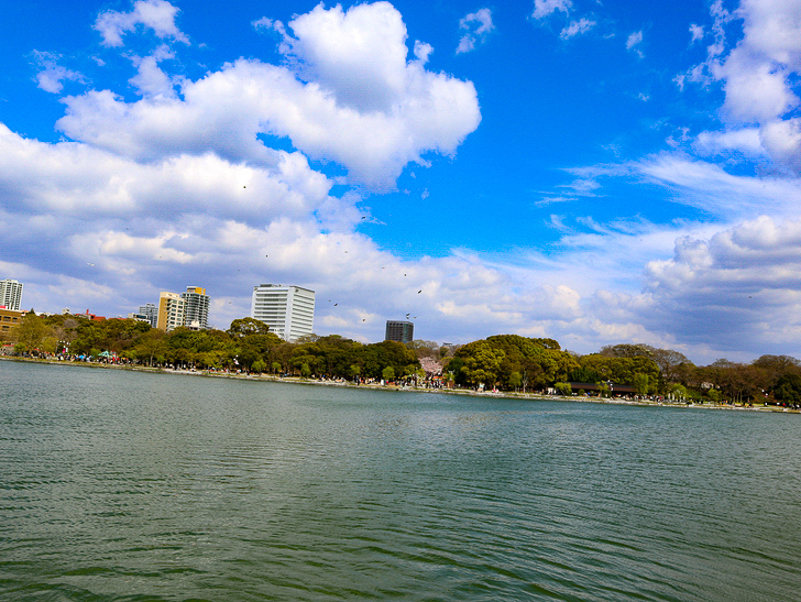 池の真ん中の島から撮影した