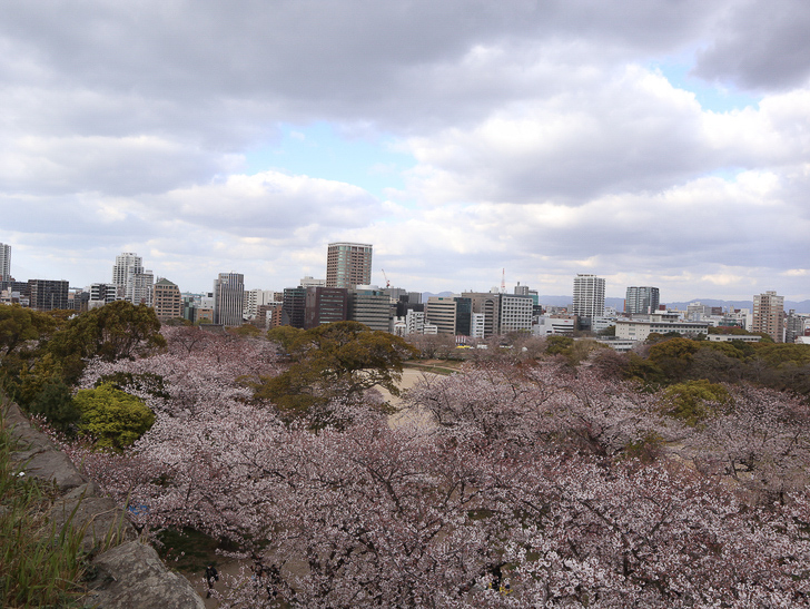 天守台からの景色2