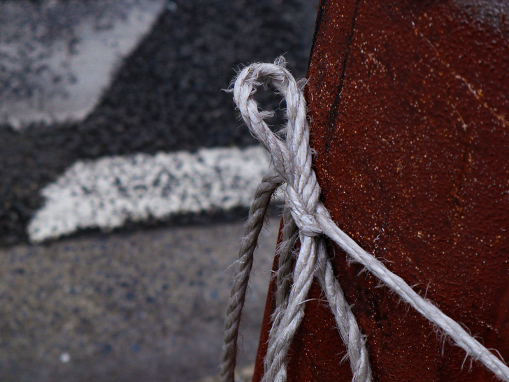 【南区大楠2丁目】静かな並木道をゆったり散歩：葬儀社の「〇〇家→」の案内板をくくってた紐