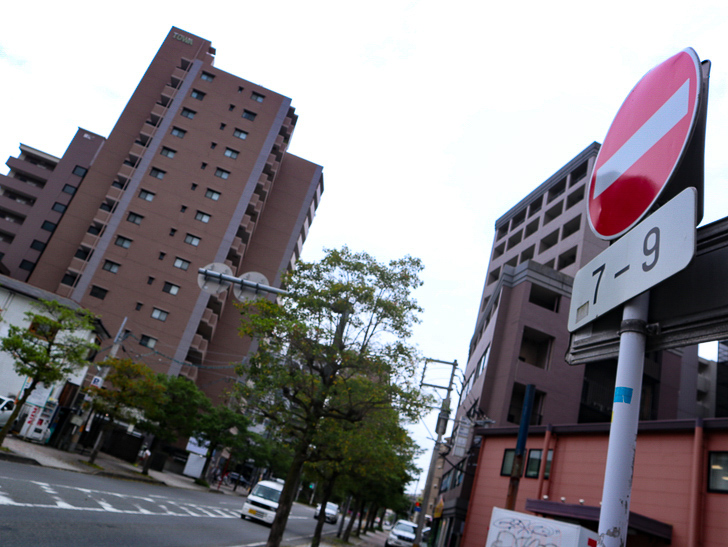 【南区大楠2丁目】静かな並木道をゆったり散歩：「進入禁止」の標識と道路