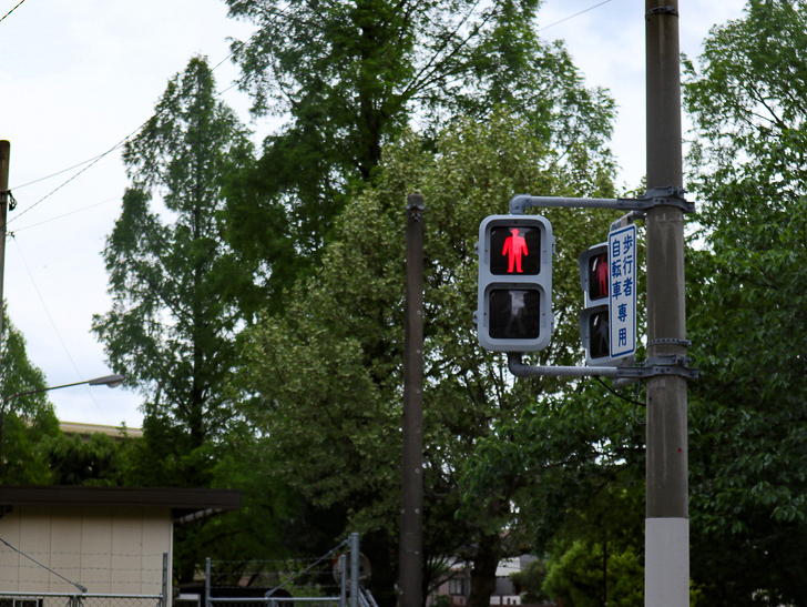 【南区大楠2丁目】静かな並木道をゆったり散歩：歩行者用信号