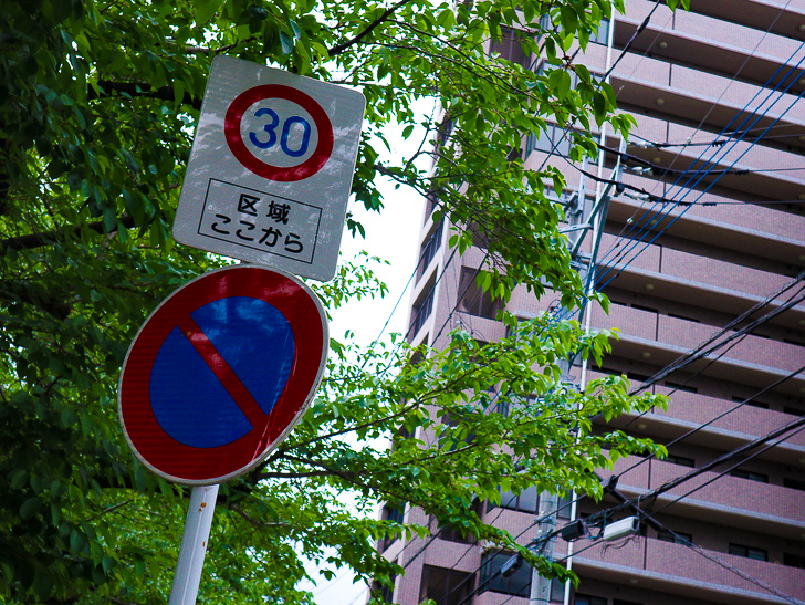 【南区大楠2丁目】静かな並木道をゆったり散歩：木漏れ日がかかった標識