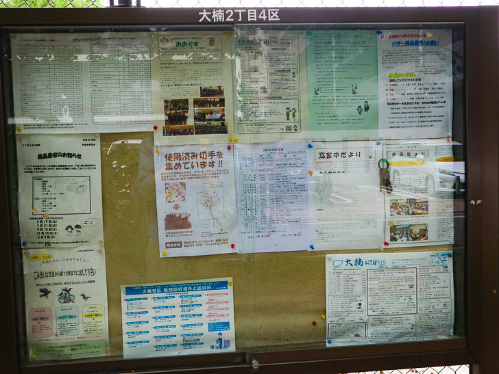 【南区大楠2丁目】静かな並木道をゆったり散歩：大楠2丁目4区の掲示板