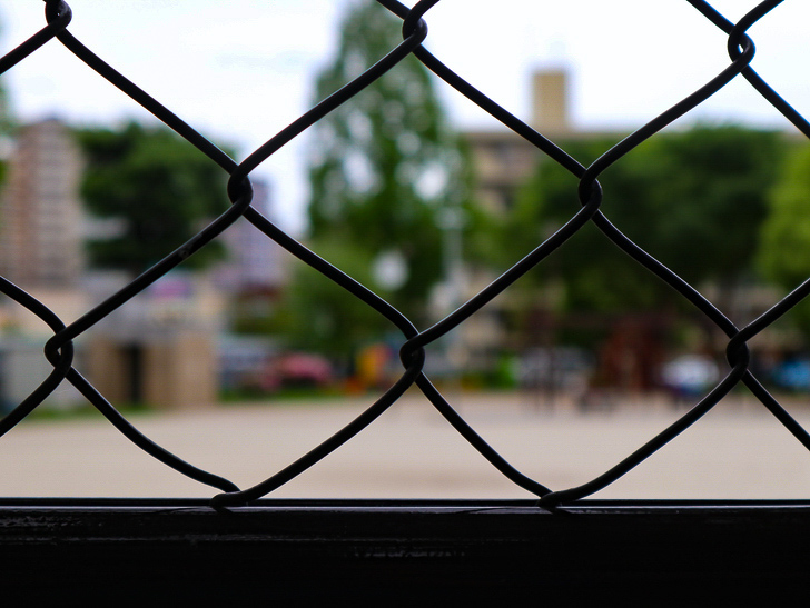 【南区大楠2丁目】静かな並木道をゆったり散歩：フェンス越しの堀川公園