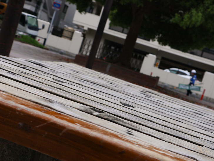 【南区大楠2丁目】静かな並木道をゆったり散歩：堀川公園：ベンチ