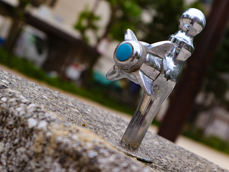 【南区大楠2丁目】静かな並木道をゆったり散歩：堀川公園：蛇口