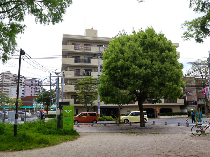 【南区大楠2丁目】静かな並木道をゆったり散歩：堀川公園の出口