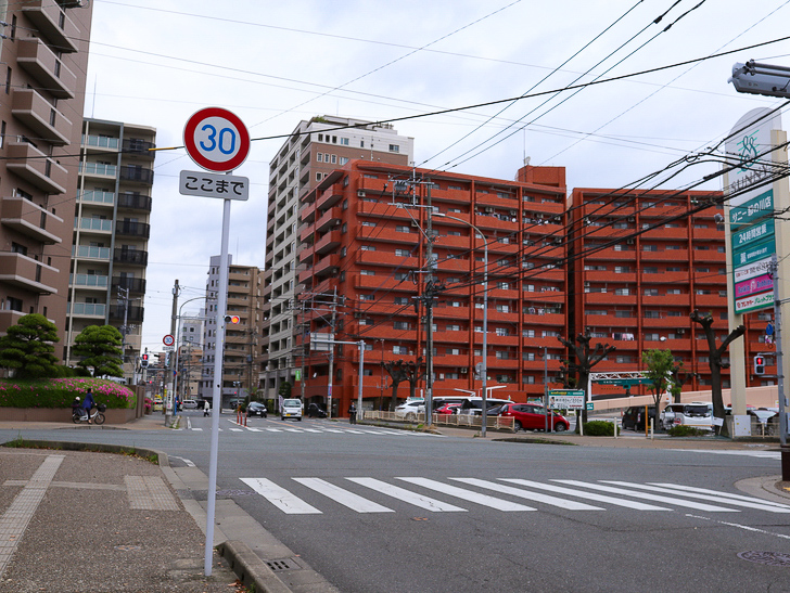 【南区大楠2丁目】静かな並木道をゆったり散歩：交差点