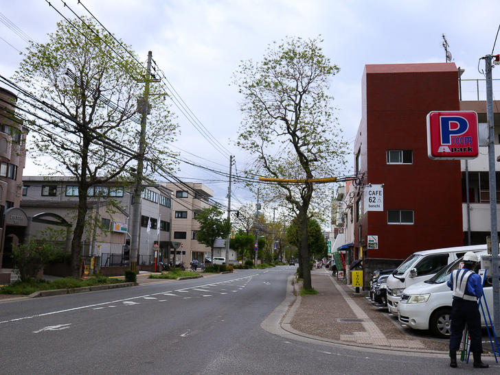 【南区大楠2丁目】静かな並木道をゆったり散歩：大楠2丁目の通り