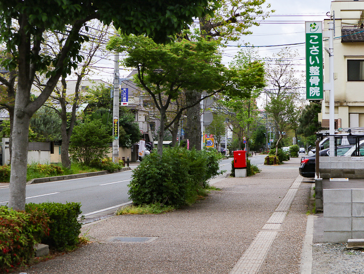 【南区大楠2丁目】静かな並木道をゆったり散歩：大楠2丁目の通り