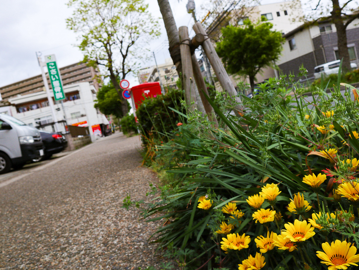 【南区大楠2丁目】静かな並木道をゆったり散歩：花壇とポスト