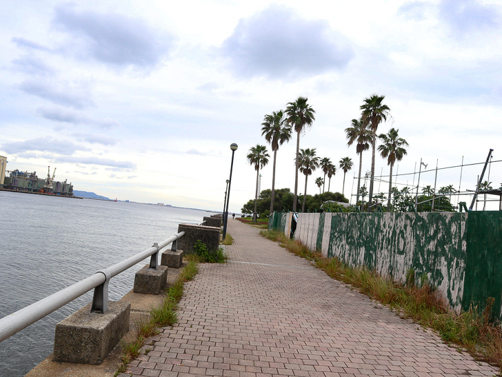 【ベイサイドプレイス博多（昼）】を思う存分満喫！： サンセットパーク方面