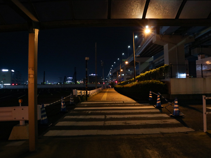 【ベイサイドプレイス博多（深夜）】やっぱり夜の海は良い： 横断歩道