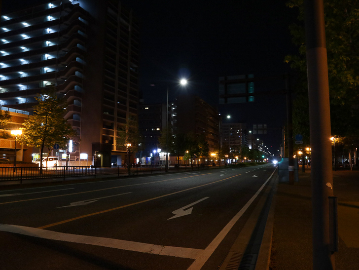 【ベイサイドプレイス博多（深夜）】やっぱり夜の海は良い： シンプルに美しい道路