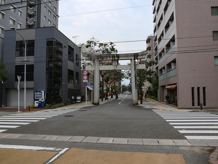 【西公園／光雲神社】まるで“千と千尋”。異空間を散歩： 振り返るとこういう鳥居がある