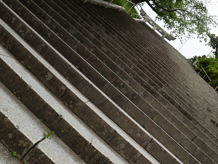 【西公園／光雲神社】まるで“千と千尋”。異空間を散歩： この階段を登ります