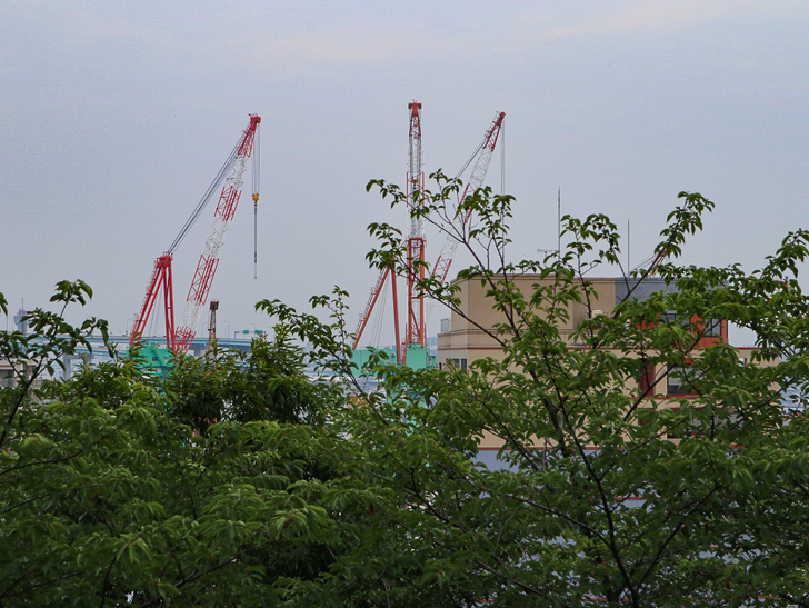【西公園／光雲神社】まるで“千と千尋”。異空間を散歩： 東側展望広場からの景色