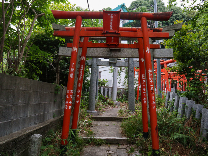 【西公園／光雲神社】まるで“千と千尋”。異空間を散歩： 中司孫太郎稲荷神社