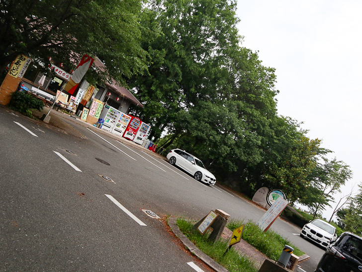 【西公園／光雲神社】まるで“千と千尋”。異空間を散歩： 展望台広場