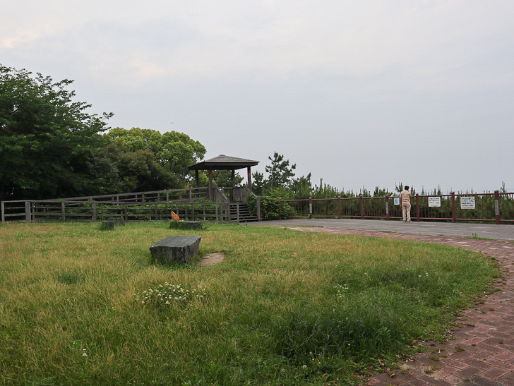 【西公園／光雲神社】まるで“千と千尋”。異空間を散歩： 展望スペース