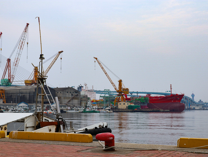 【西公園／光雲神社】まるで“千と千尋”。異空間を散歩： かもめ広場