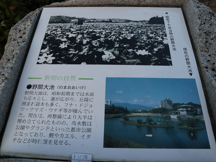 大池公園の案内板