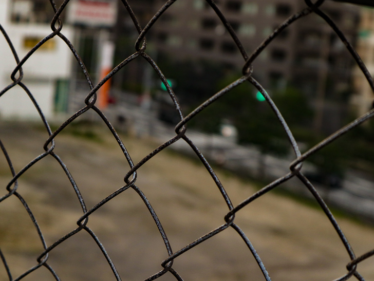 フェンス越しの世界