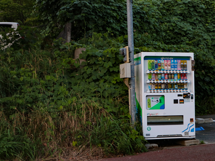 今日の自販機