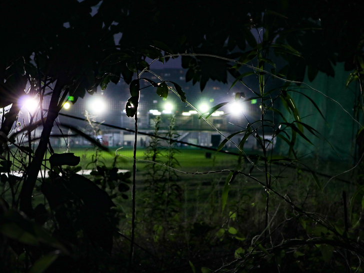 ゴルフ練習場と草