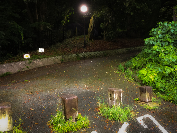 緑地への入り口