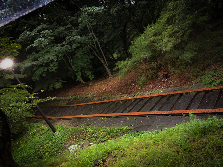 植物園と動物園を繋ぐ階段