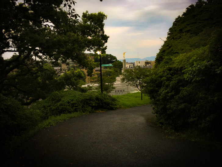 木の間からの景色