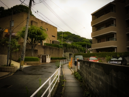 「南公園」の緑地を散歩してきた（植物園入り口までの徒歩コース）