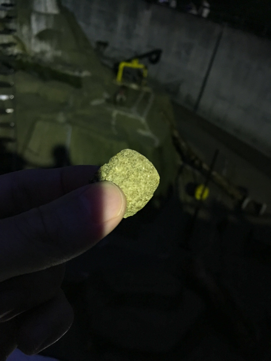 猿のおやつ「ペレット」