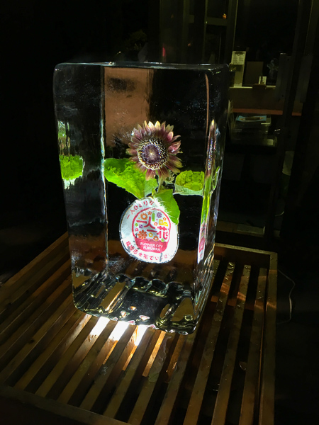 氷のオブジェクト