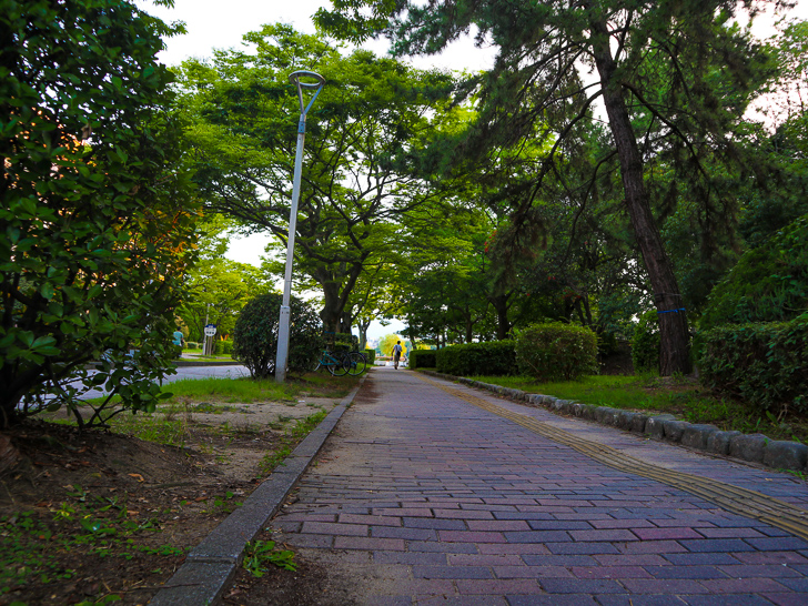 大濠公園入り口（歩道）