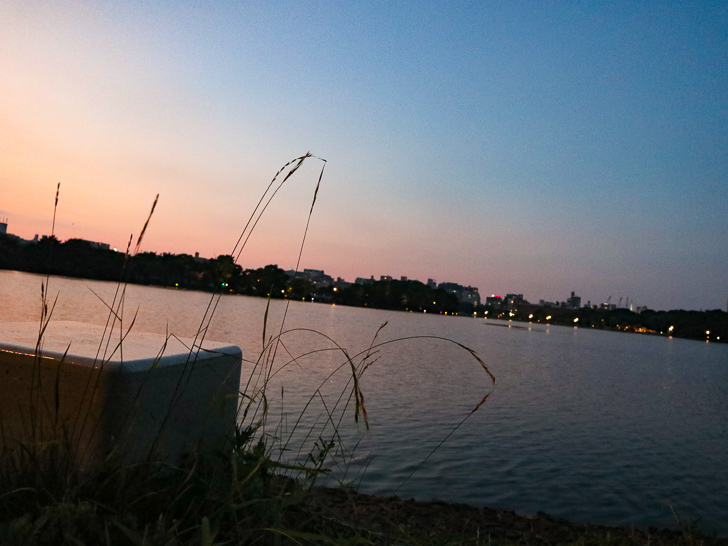 夕暮れの大濠池