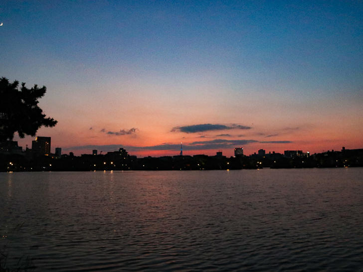 夕暮れ時の大濠公園