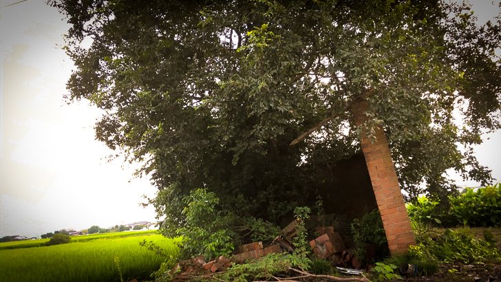 昔からある廃墟のレンガ