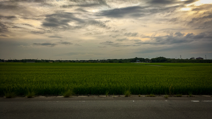 空と田んぼと道路