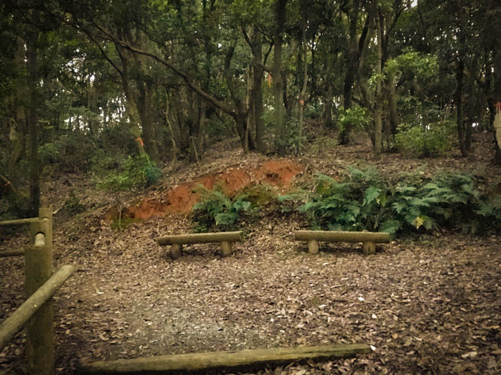 森の中のベンチ