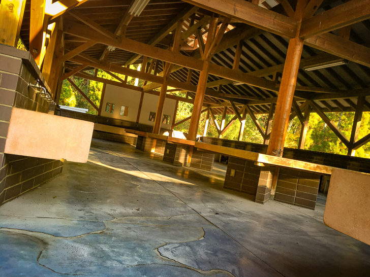 バーベキュー広場