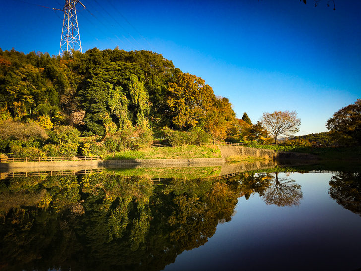 「濃施山公園池」の奥側