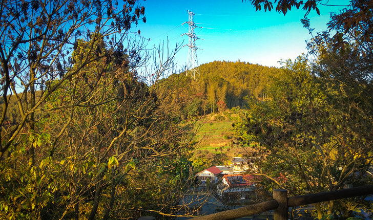 公園の外側の民家を見下ろせる