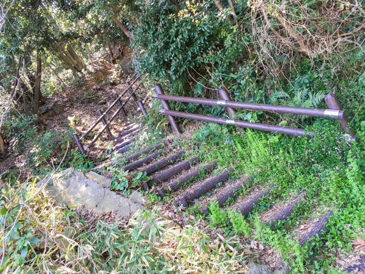 傾斜がきつそうな階段を発見。これは昇るしかない