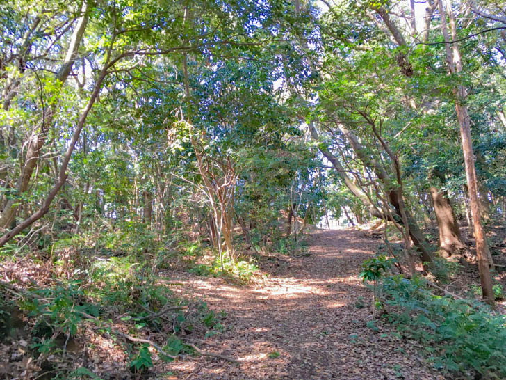 登った先には緑地が。