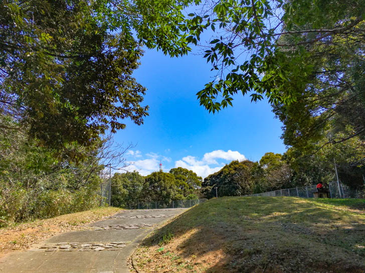 頂上っぽいところに到達