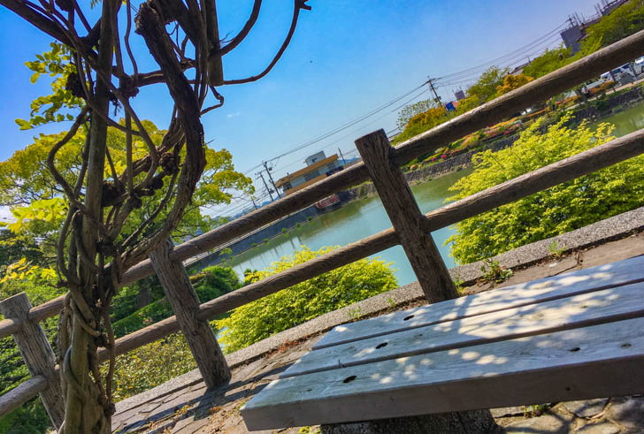 展望スペース ベンチからの景色