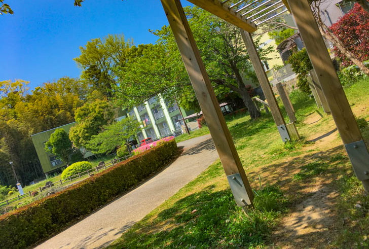 軽いアスレチックもある