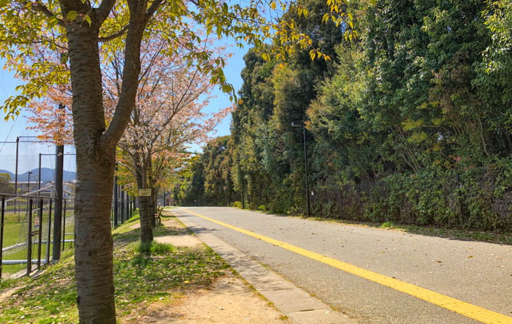 道は整備されていて歩きやすい